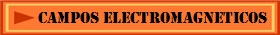 CAMPOS ELECTROMAGNETICOS